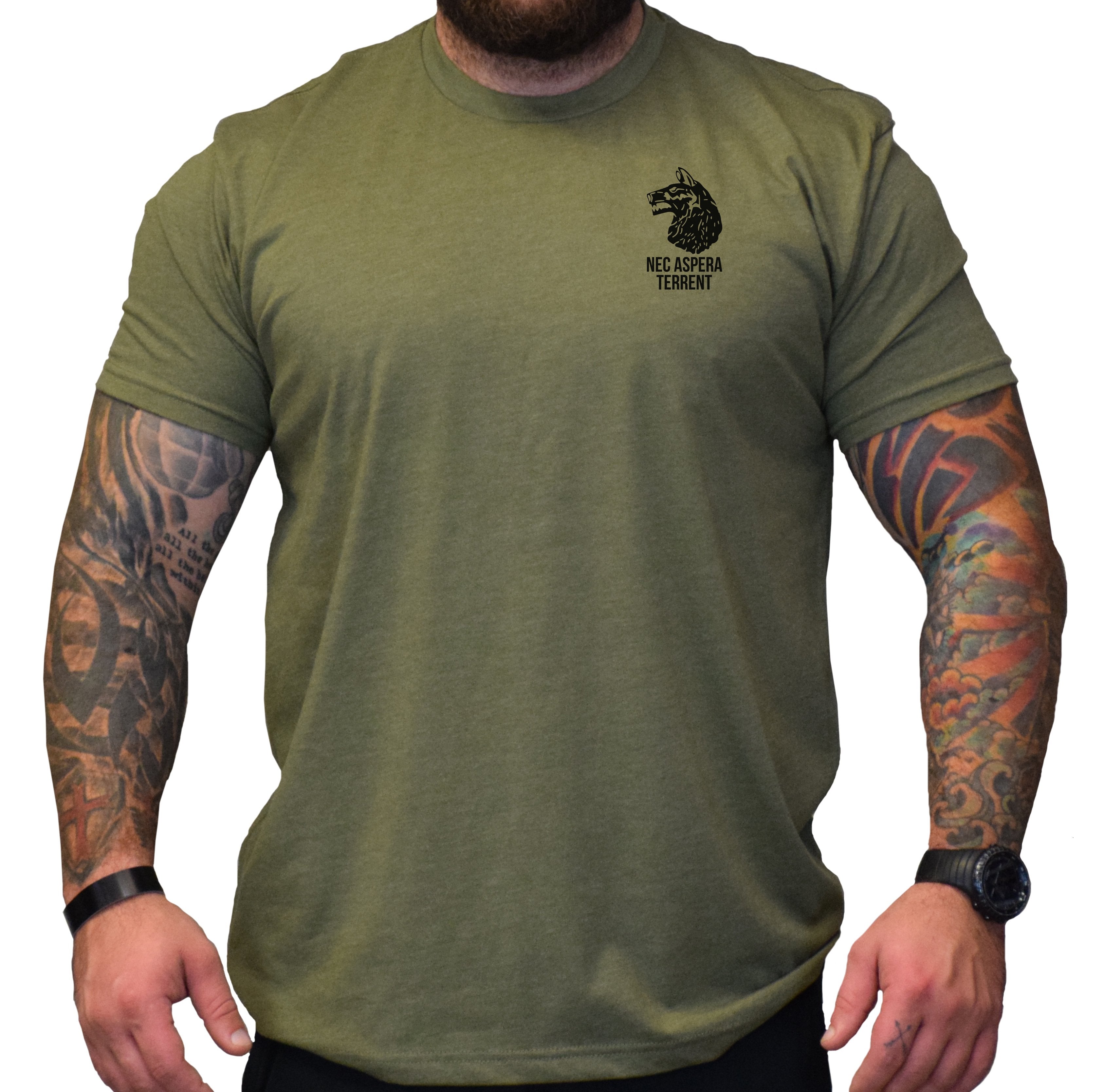 101St Airborne 187Th Infantry Regiment Tori Rakkasans Men's T-shirt Back  Print - Monsterry CA