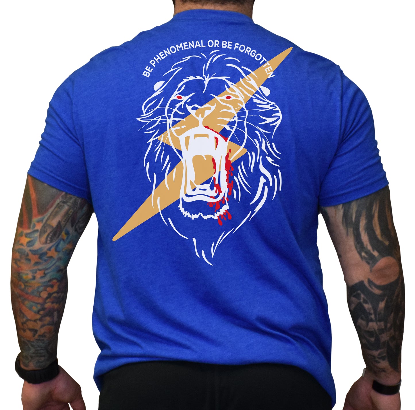 SSI Lion Lightning